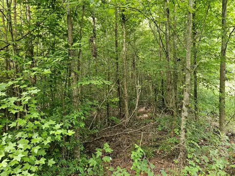 156 Gage Ln, Ocoee, TN 37361 photo 4