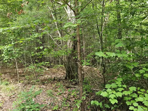 156 Gage Ln, Ocoee, TN 37361 photo 10