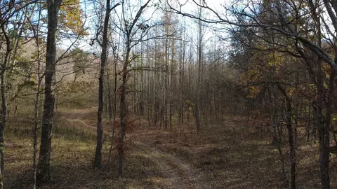 0 Turkey Creek Rd, Waverly, TN 37185