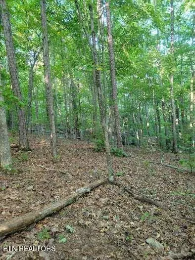 4 Martin Ln, Palmer, TN 37365