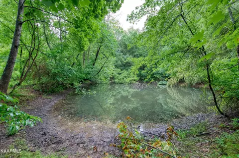 1508 Irwin Dr, Powell, TN 37849 photo 26