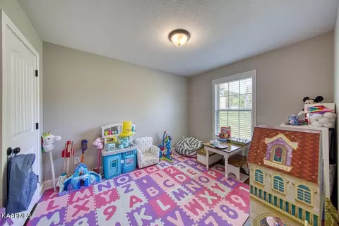 6643 Ruby June Ln, Corryton, TN 37721 photo 6
