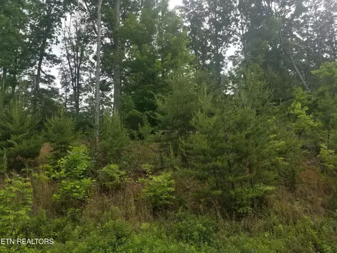 33 Bayside Blvd, Bean Station, TN 37708