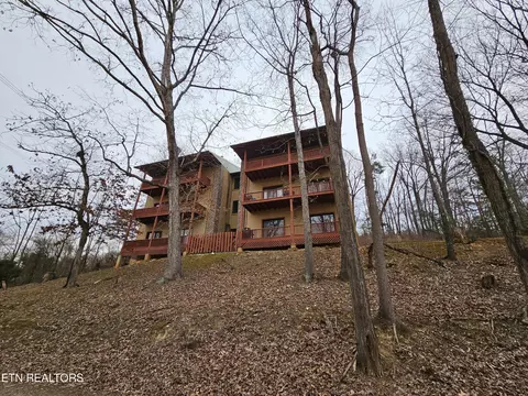 435 Cardnal Cv, Rutledge, TN 37861