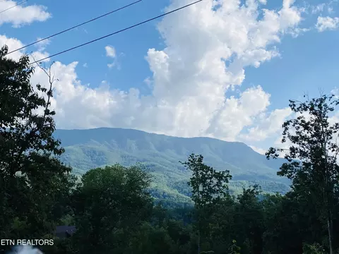62 Upper Windsor Way, Gatlinburg, TN 37738