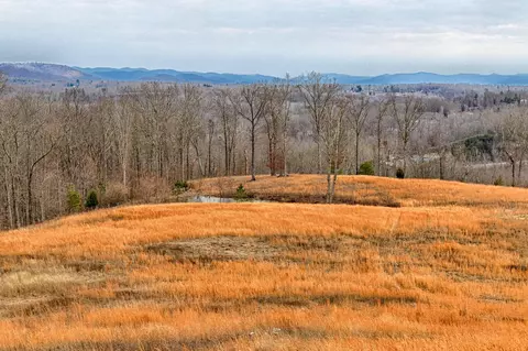 1240 Grape Rough Rd, Oneida, TN 37841 photo 8
