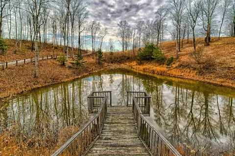 1240 Grape Rough Rd, Oneida, TN 37841 photo 10