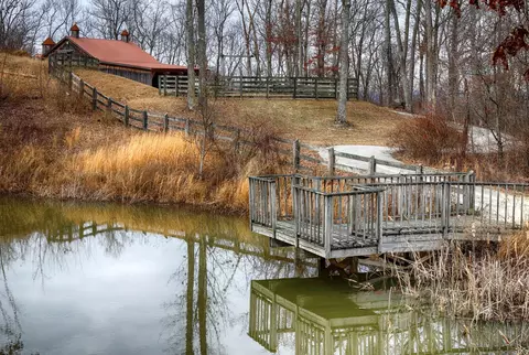 1240 Grape Rough Rd, Oneida, TN 37841 photo 9