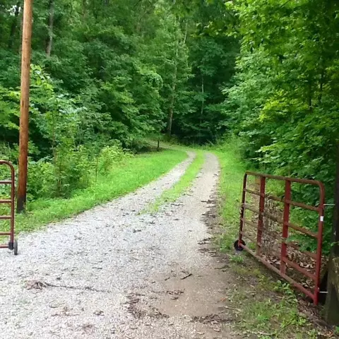 8619 Buffalo Rd, Oneida, TN 37841 photo 32