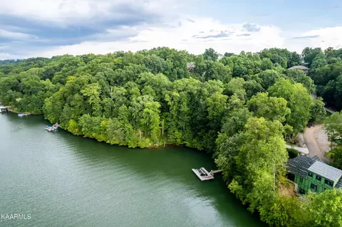 202 E Cove Dr, Greenback, TN 37742 photo 40