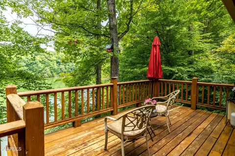 202 E Cove Dr, Greenback, TN 37742 photo 11