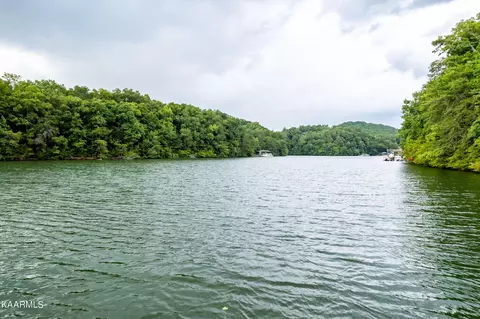 202 E Cove Dr, Greenback, TN 37742 photo 3