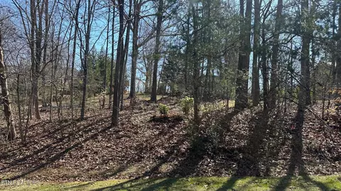 129 Timberlake Dr, Greenback, TN 37742