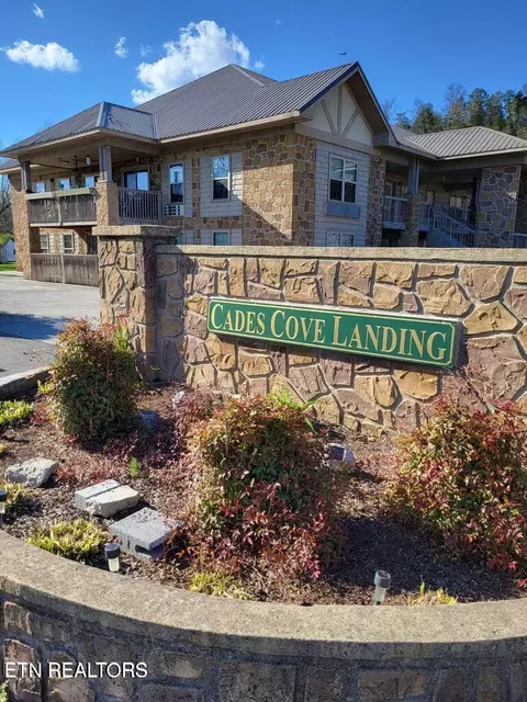 7239 E Lamar Alexander Pkwy #202, Townsend, TN 37882