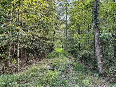 0 Chestnut Ridge Rd, Walland, TN 37886