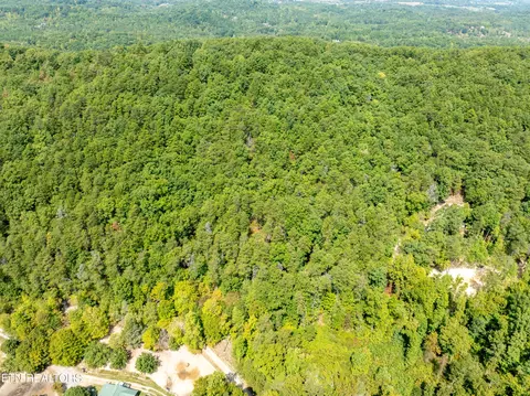 0 Butterfly Hollow Lot 7 Rd, Maryville, TN 37803