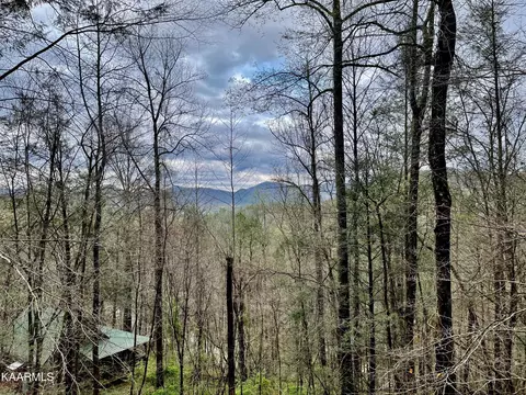149 Timberwinds Way, Townsend, TN 37882 photo 14