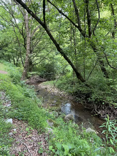 0 Chestnut Valley Rd, Vonore, TN 37885