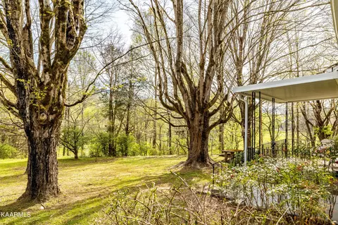 220 Webb Rd, Townsend, TN 37882 photo 8