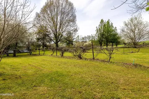 220 Webb Rd, Townsend, TN 37882 photo 43