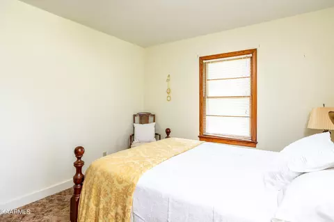 220 Webb Rd, Townsend, TN 37882 photo 28