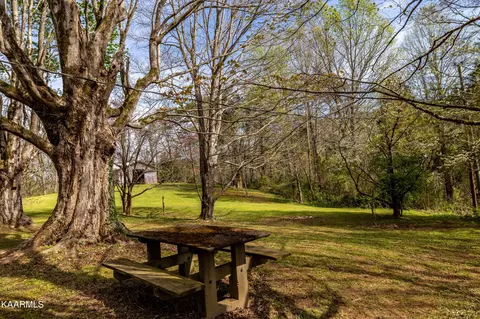 220 Webb Rd, Townsend, TN 37882 photo 44