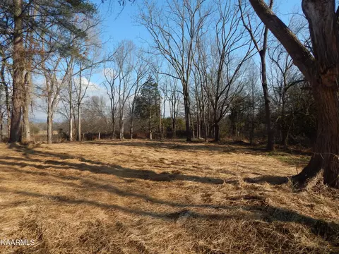 412 Reed Rd, Greeneville, TN 37745 photo 13