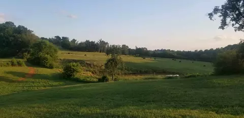 5000 Brooks Rd, Greenback, TN 37742 photo 4
