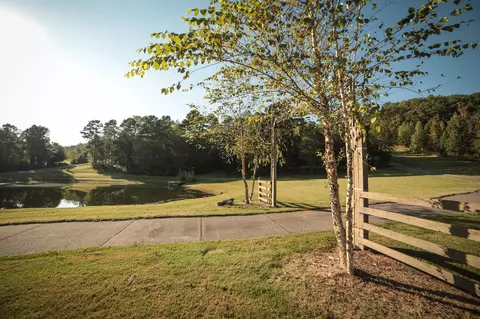 1785 Brooks Rd, Greenback, TN 37742 photo 38