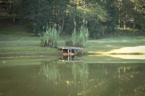 1785 Brooks Rd, Greenback, TN 37742 photo 35