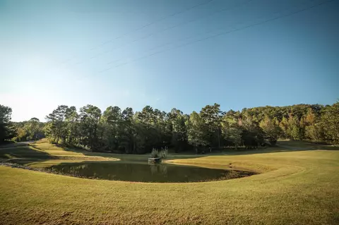 1785 Brooks Rd, Greenback, TN 37742 photo 34