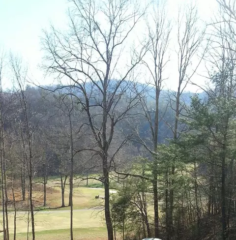 124 Fox Chase Dr, Townsend, TN 37882 photo 26
