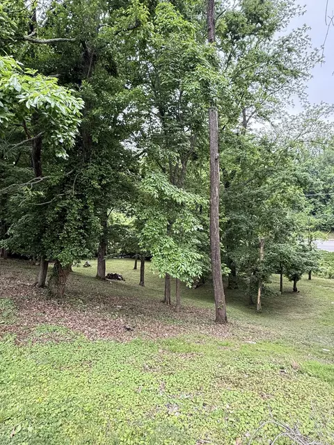108 N Sequoia Dr, Springfield, TN 37172 photo 32