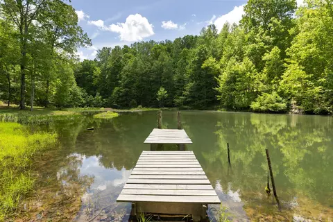 320 Dyestone Springs Rd, Hohenwald, TN 38462