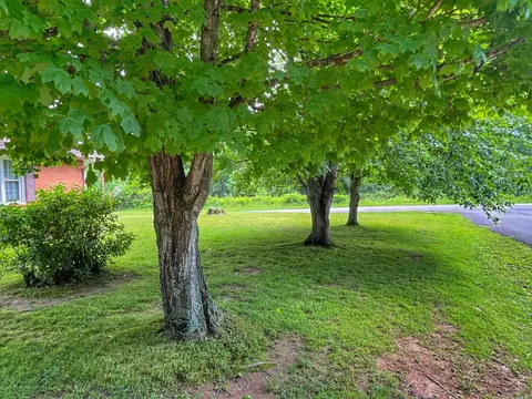 403 Mockingbird Ln, Dickson, TN 37055 photo 28