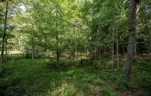 595 Compass Dr, Jasper, TN 37347 photo 18