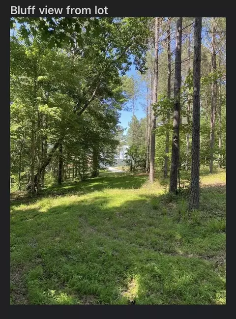 595 Compass Dr, Jasper, TN 37347 photo 22