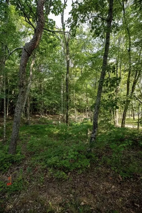 595 Compass Dr, Jasper, TN 37347 photo 13