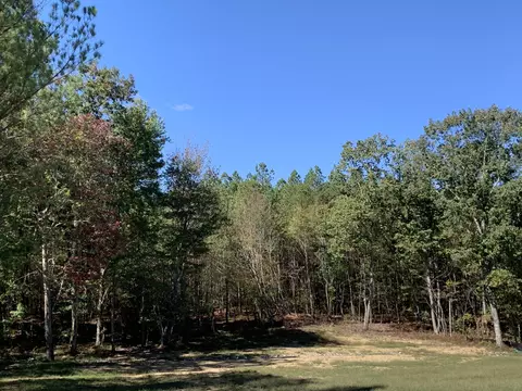 595 Compass Dr, Jasper, TN 37347 photo 33