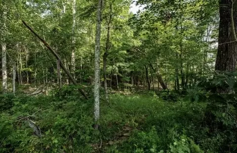 595 Compass Dr, Jasper, TN 37347 photo 16
