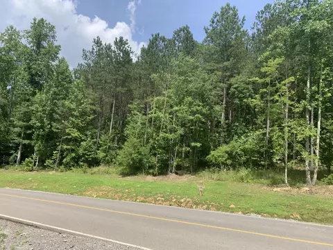 4910 Raulston Falls Rd, Jasper, TN 37347