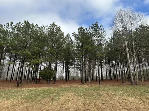 203 Pappy Rd, Jasper, TN 37347 photo 8
