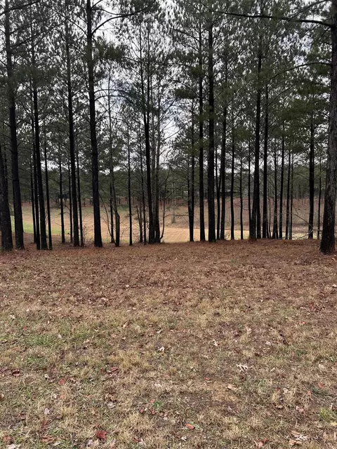 203 Pappy Rd, Jasper, TN 37347 photo 2