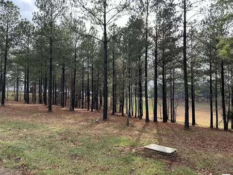 203 Pappy Rd, Jasper, TN 37347