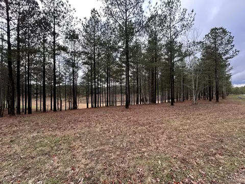 203 Pappy Rd, Jasper, TN 37347 photo 3