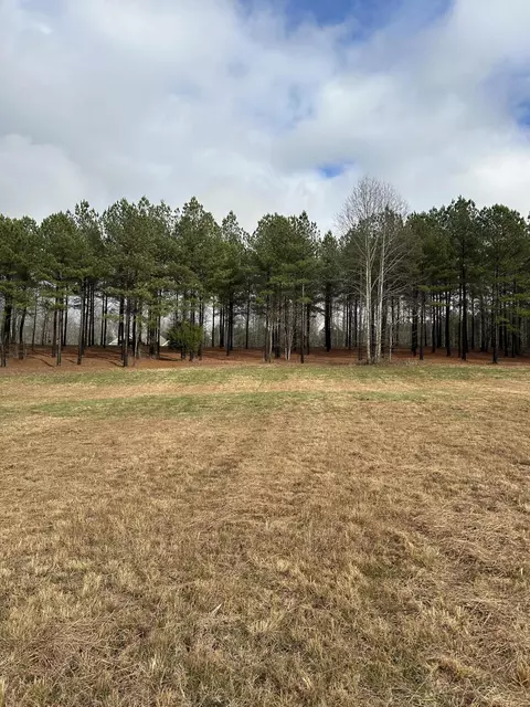 203 Pappy Rd, Jasper, TN 37347 photo 6