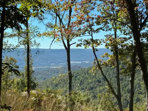 4093 Raulston Falls Rd, Jasper, TN 37347