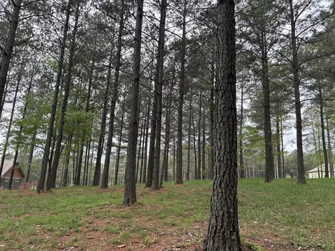 140 Foxtrot Ln, Jasper, TN 37347
