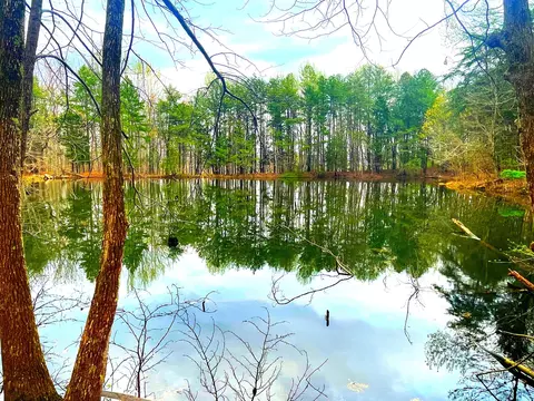 168 Teludachee Trl, South Pittsburg, TN 37380