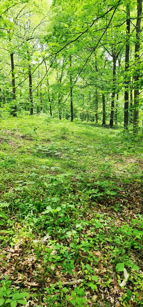 0 Scenic Rd, Normandy, TN 37360